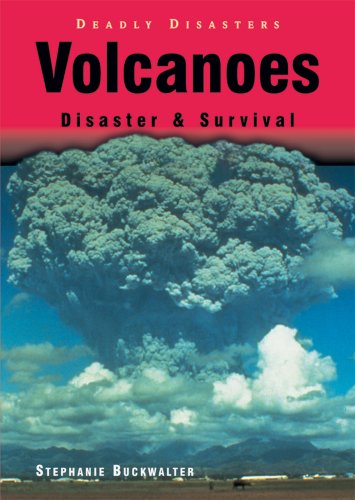Volcanoes  : disaster & survival /